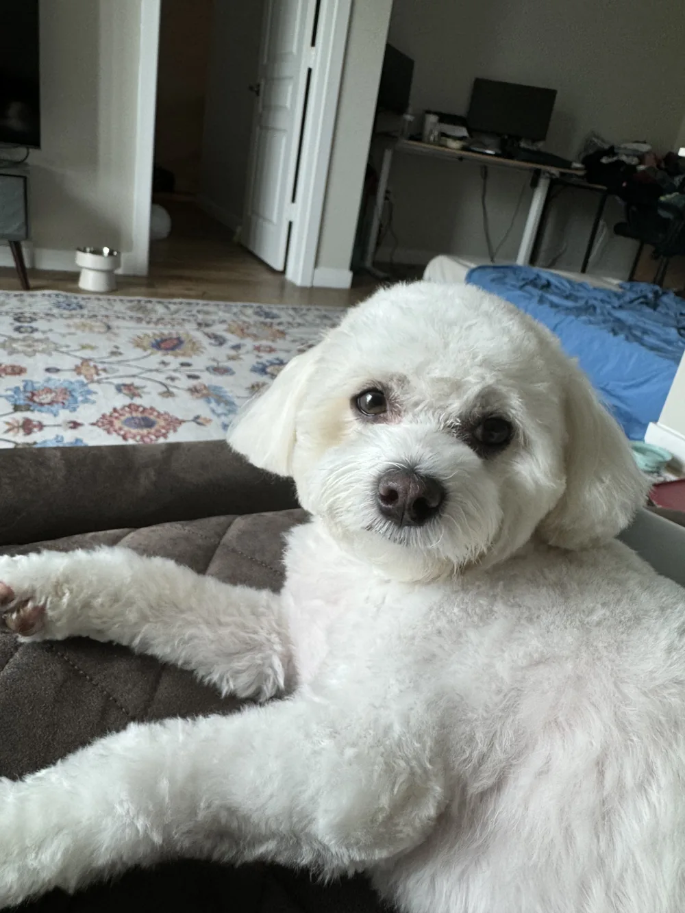 Mila smiling on the couch